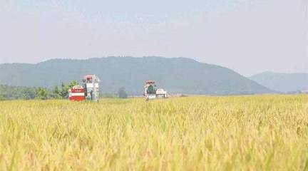 政策东风至，农机企业迎转机 聚焦农业生产托管服务的六大战略机遇