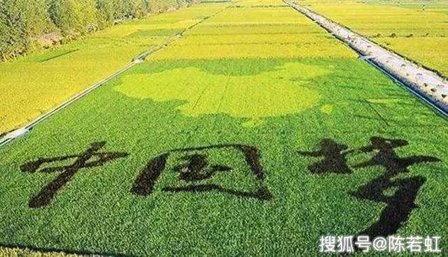 规范引领，服务增效 全国首个《农业生产托管服务规范》发布，赋能现代农业发展