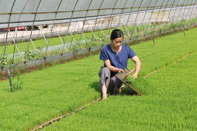 中央财政230亿元加码农业适度规模经营，农业生产托管服务迎来发展新机遇