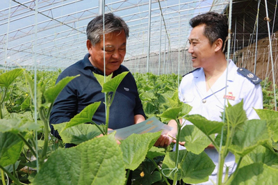 以税惠农 描绘乡村振兴好“丰”景——山东省税务局精准服务农业生产托管显实效