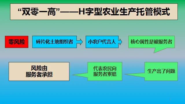 造血式乡村振兴 农业生产托管服务的创新路径与实践探索