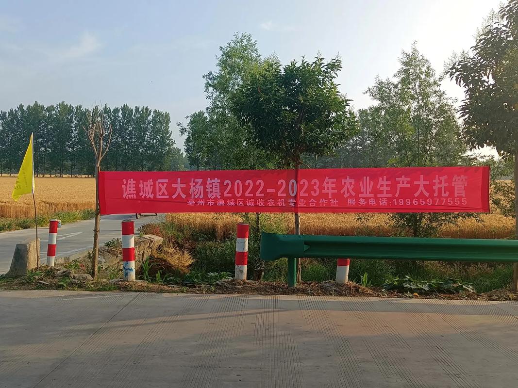 谯城区大杨镇20222023年农业生产大托管chunyu春雨高州市流城区藏收