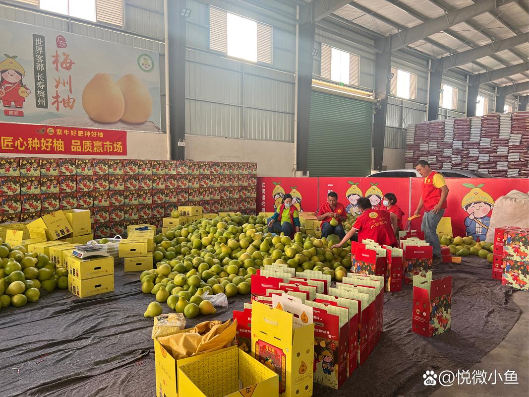 家#  梅州市志颖农资是梅州地区大规模的集农业生产托管服务